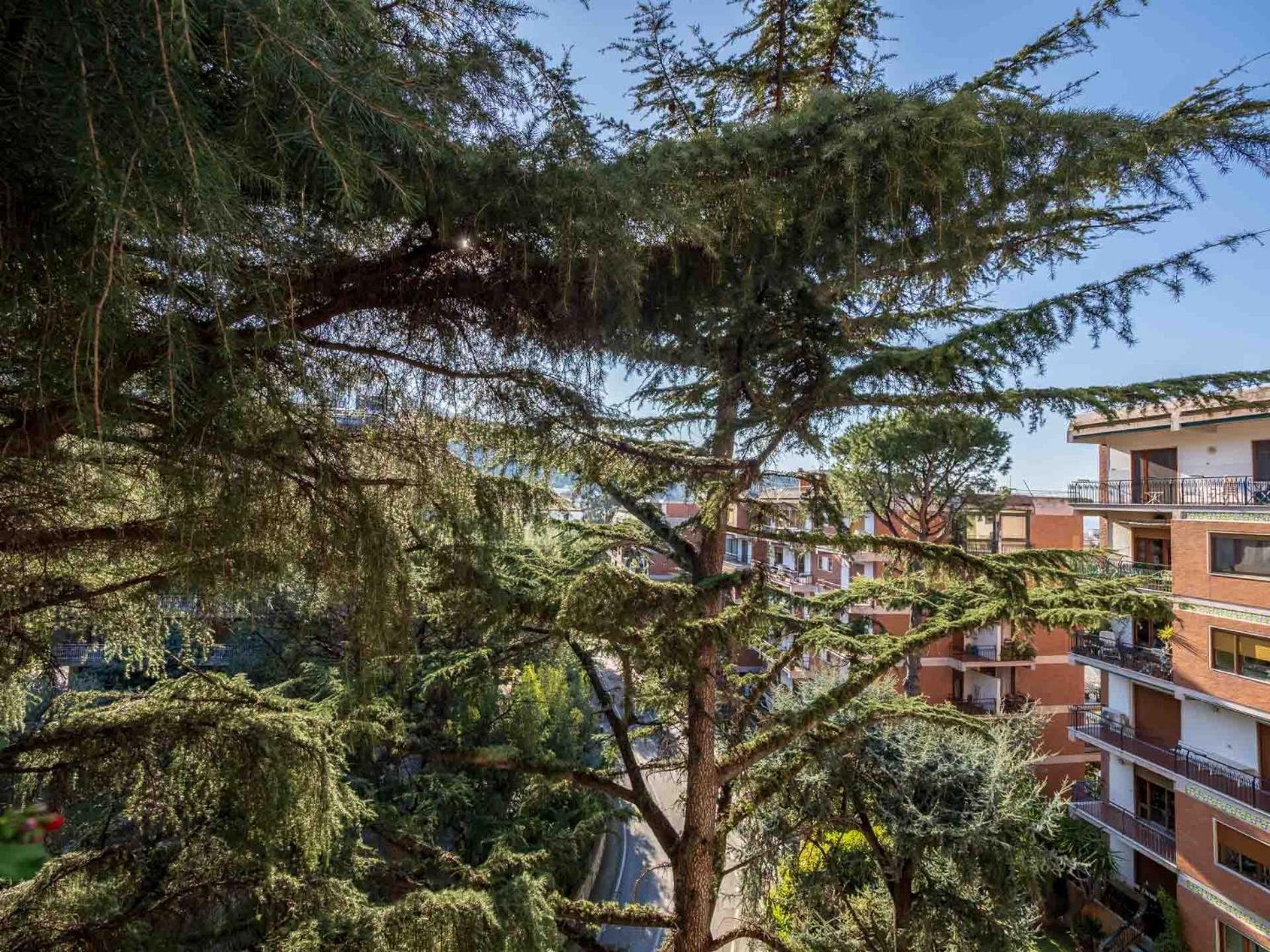 Pine House Sorrento Apartment Exterior photo